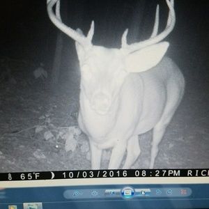 Meet your Posher, Rick